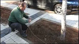 יעוץ לתושב הנושא איכות הסביבה בקיסריה