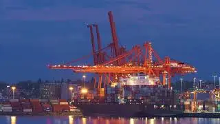 Spotlight: The Future of AI in Supply Chain Management