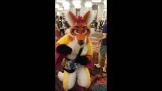 BLFC 2017