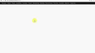 Logare in sistemul BossInfo Project