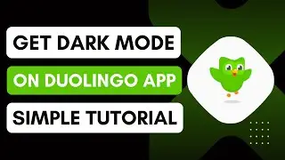 How To Get Dark Mode On Duolingo
