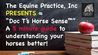 Bucket safety- How to properly hang a water bucket | Doc T's Horse Sense