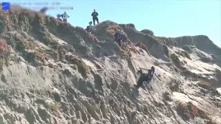 Dog rescued from ledge after falling 40 feet down from cliff in California park