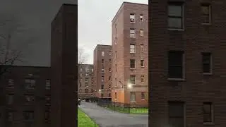 FLATBUSH GARDEN aka VANDERVEER PROJECTS (FRONT PAGE) #vanderveer #veer #flatbush #brooklyn #projects