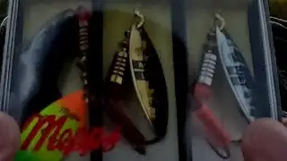 Pescando 🎣 kit de spinner mepps reto pescar 1  lobina con cada se&ntilde;uelos  capturando 12 smallmouth 🎣