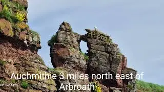 Auchmithie