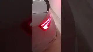 Audi RS 3 Cold❄️Start