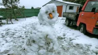 Life & Death of Brian the Snowman