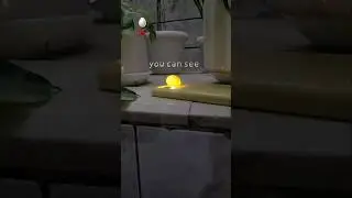 I Checked My Bird&rsquo;s Eggs&hellip; and This Happened 💔