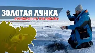 ОКУНЯ много и он клюет, нашел ЗОЛОТУЮ ЛУНКУ! Ловля окуня на балансир!
