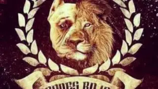 Leones rojos.
