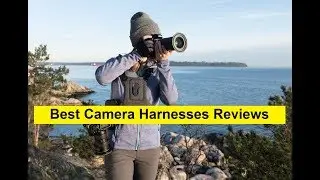 Top 3  Best  Camera  Harnesses  Reviews in 2019
