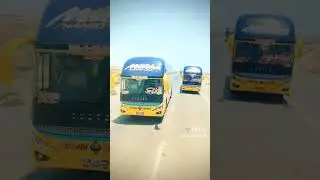 newbus#racinggame# Al#Hadi#movers #music # viral shorts# behrose# NOMAN