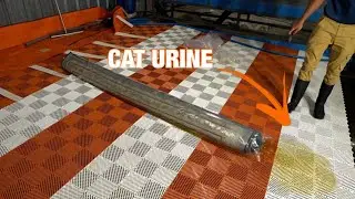 We soaked this rug overnight to get all the CAT URINE out🤢