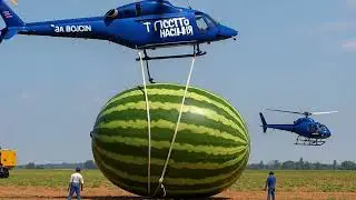 In 2025, Japan grew the world's largest fruit || Biggest Fruits & Vegetables In The World - Us