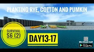 Survival day 13-17 Farming Mini block craft