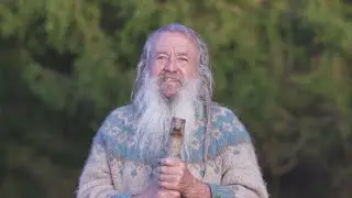 Die Pflanzen der Wintersonnwende