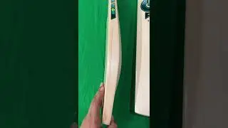 2024 GM AION L555 CRICKET BAT SERIES  - PROFILE REVIEW