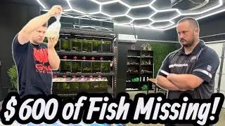 Disaster Struck! $600 Fish Order Lost in the Mail?! (Hanging Out with a Subscriber)