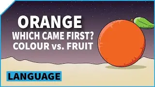 Orange (colour) vs. orange (fruit) | Verativity Language