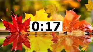 Английский ЕГЭ Говорение Task 3 EXAMS 02