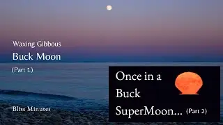 Buck Supermoon | Oceans Bliss