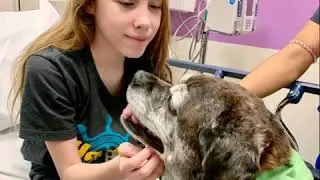PAWS for People in Action