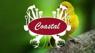 Coastal 101 | For The Birds