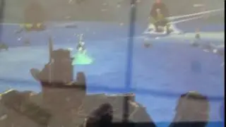 War Tortoise Level 250