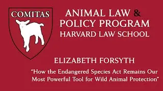 How the Endangered Species Act Remains Our Most Powerful Tool for Wild Animal Protection