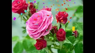 🌹 Most Beautiful Flower Valley in the World Top Beautiful Flower Places 🌍💐