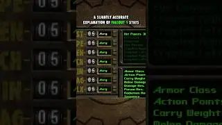 A Slightly Accurate Explanation of Fallout Stats #fallout #gaming #retro