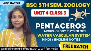 Pentaceros Morphology and Water vascular system BSc 5th Semester Zoology Paper 1 Unit 4🔥