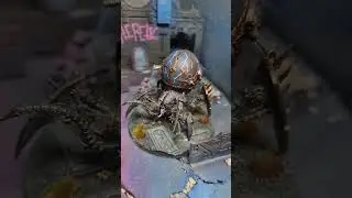 Ronda Blackmane x Chaos Venomcrawler Warhammer 40k in 40 sec