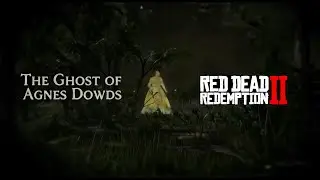 All 16 Encounters of the Ghost of Agnes Dowds Easter Egg - Red Dead Redemption 2