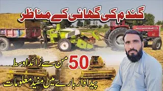 Gandum ki Katai aur Gahai | Wheat Cutting Very Easy | Wheat Harvesting | Seed Variety