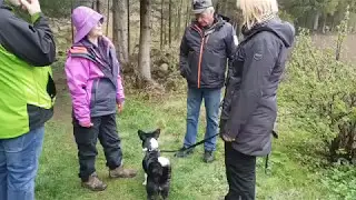 Karaktertest - Karma