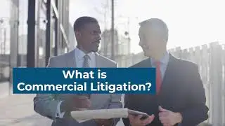 What Are the Differences in Civil and Commercial Litigation?