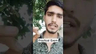 🚨 IGNOU June 2025 Practical Exam Update 🚨 #shorts #ignou