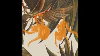 [FREE] ERYKAH BADU X PSYCHEDELIC JAZZ TYPE BEAT 