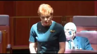 Pauline Hanson throws Rod Culleton under the High Court bus