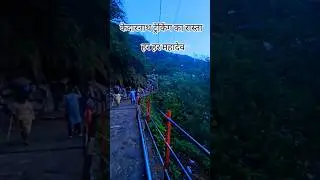 kedarnath yatra #travel #kedarnath #chardham #kedarnathdham #uttrakhand #harharmahadev #kedar