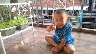 Jizam  hobi bertanam sayuran hidroponik
