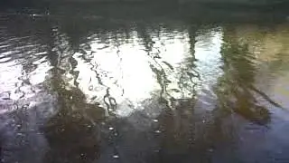 catching small trout in the moyola