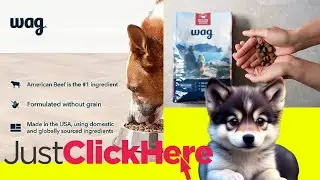 Amazon Brand  Wag Dry Dog Food - #amazonbrand #wag freeze dried dog treat tasting with my dogs  #usa