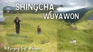 breathtaking meadows with lilies lying and blooming in rows naturally || shingcha Wuyawon 