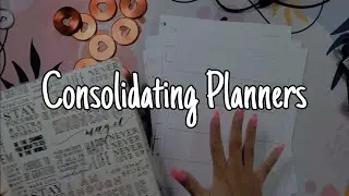 Switching My Planners to BIG Expander Discs | Combining Outdated Pages for Planning