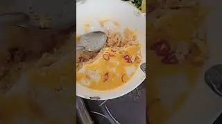 the food country #dog #nature #happy #food #eating #noodles #country