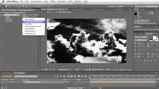 Fixel Coloritivity BW Demo