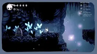 Hollow Knight - Randomizer - True Ending (No commentary)